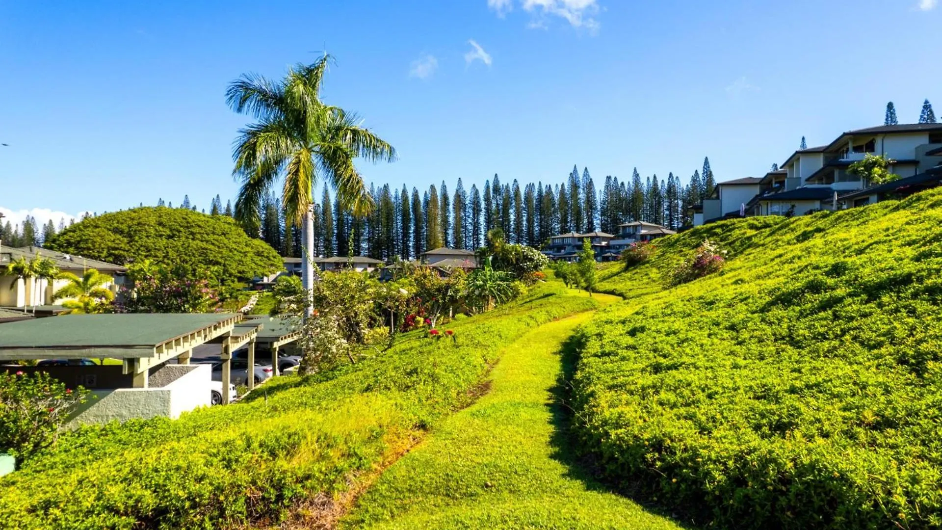 Kbm Resorts Spacious 5-Bedroom Kapalua Golf Collection Multi Unit Listing Same Enclave Golf Course Views 3 Free Rental Cars Kgv-24P7P2T1